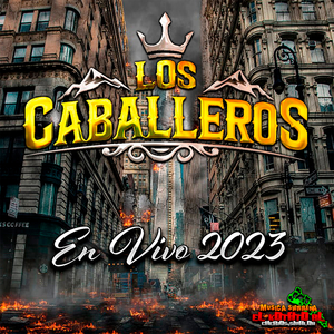 Ojitos De Capulin (En Vivo)