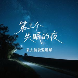 第三个失眠的夜