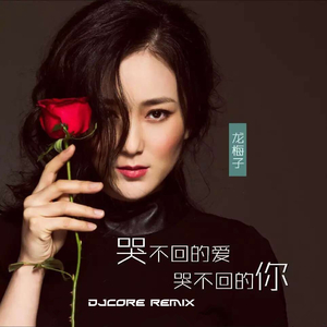 李守俊-龙梅子 - 哭不回的爱哭不回的你（DjCore Radio Remix）（DjCore Remix）