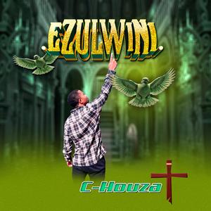 Ezulwini (feat. Mkhanya Ledimo)