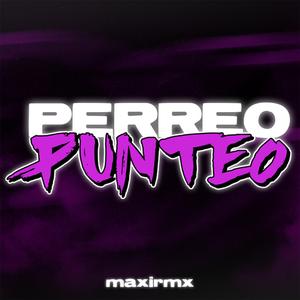 PERREO PUNTEO