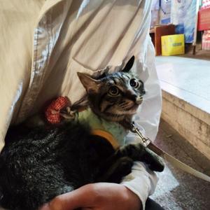 我不配拥有-纯音乐