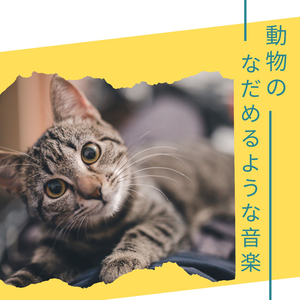 なびくそよ風に身をまかせて（癒しの歌）