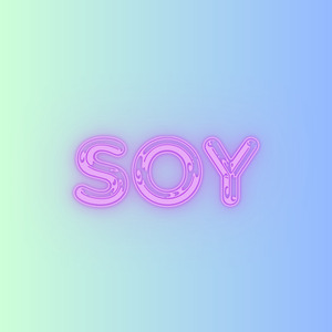 Soy