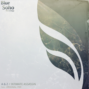 Intimate Assassin (Original Mix)