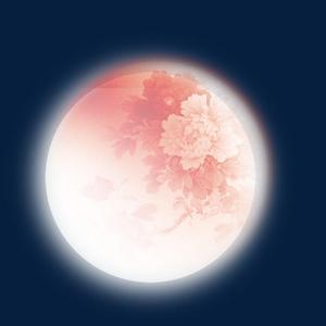 秋天的晚风和比月亮还美的你