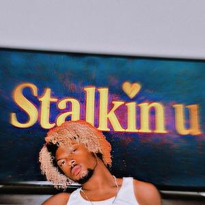 Stalkin u