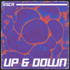 UP & DOWN