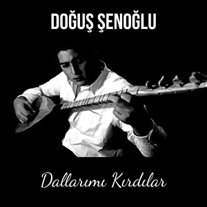 Dallarımı Kırdılar