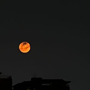 Gone go（都不在）