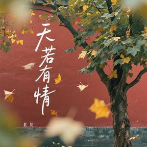 天若有情 - 此生多少情与仇