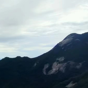 模仿与欺骗