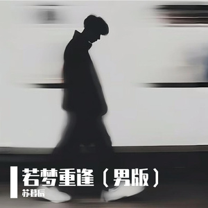 若梦重逢（男版）