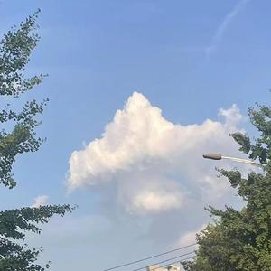 即使是如此渺小的我们