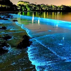 如果那天开口_可遇洋光