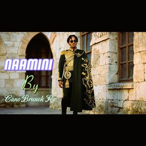NAAMINI