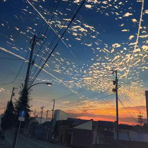 这世界有那么多人