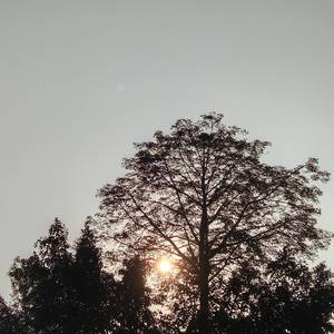 愿天空蔚蓝时 世界的温暖与你相拥