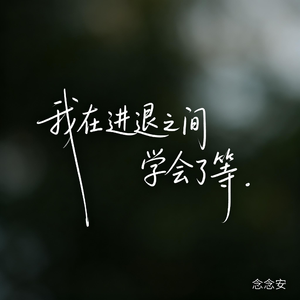 我在进退之间学会了等