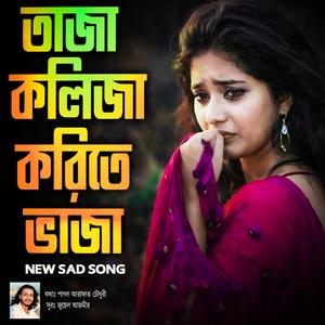 তাজা কলিজা হায় করিতে ভাজা- New Sad Song