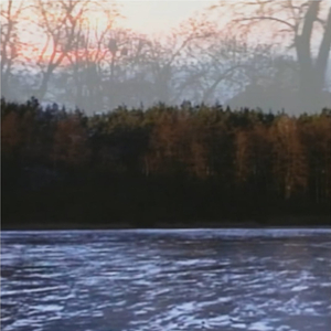 rok 2009 i zabawa na drzewie