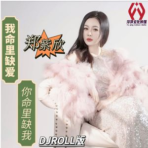 我命里缺爱你命里缺我（DJROLL版）