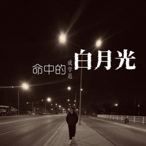 命中的白月光