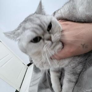 眼角划过的泪是我爱你的证明