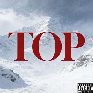 TOP2.0