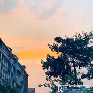 双向奔赴