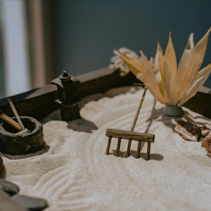 与你