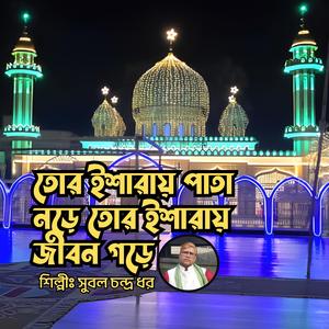 Tor Isharay Pata Norey || তোর ইশারায় পাতা নড়ে তোর ইশারায় জীবন গড়ে || মুর্শিদী গান || দরবারী গান || বাউল গান || সুরেশ্বরী গান (feat. Subol Chandro Dhor)