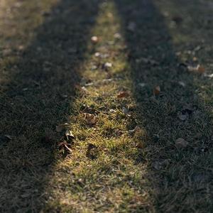 First Word, First Light