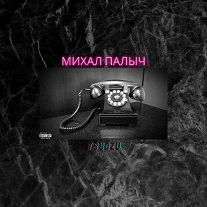 Михал Палыч