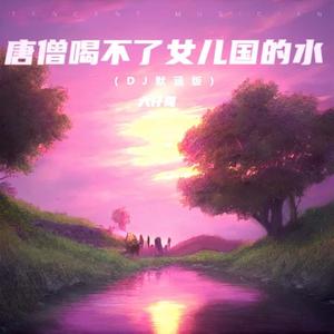 唐僧喝不了女儿国的水 (DJ默涵版)
