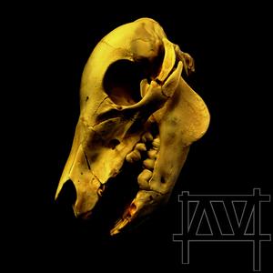 MORPHIUM (feat. Ross S-P)