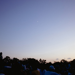 What I left that summer