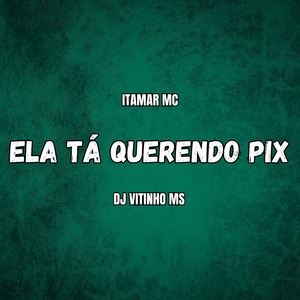 Ela Tá Querendo Pix