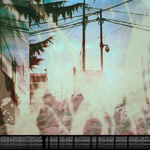 a car crash bathed in golden hour sunlight.