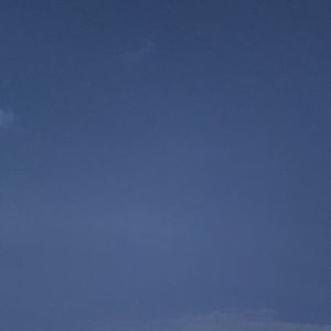 Happy Happy Witnessday