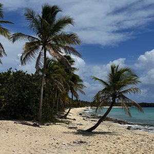 Down in Punta Cana