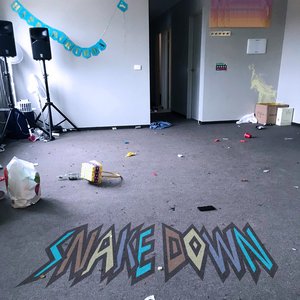 Snake Down