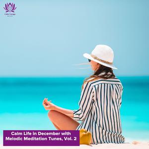 Superemely Jaded Focus