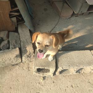 一个伴奏（暂时无名）