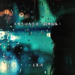 不要忘记我爱你  (DJ弹鼓版)