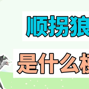 顺拐狼是什么梗