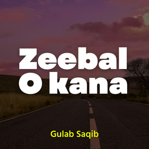 Ziba E Pardesiya