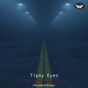 No Signal In Here (Ghostbird Remix Radio Edit)