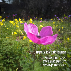 המקום שבו אנו צודקים