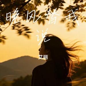晚风替我说